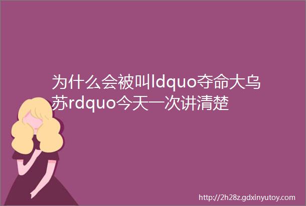 为什么会被叫ldquo夺命大乌苏rdquo今天一次讲清楚