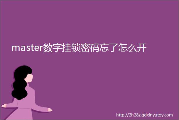 master数字挂锁密码忘了怎么开